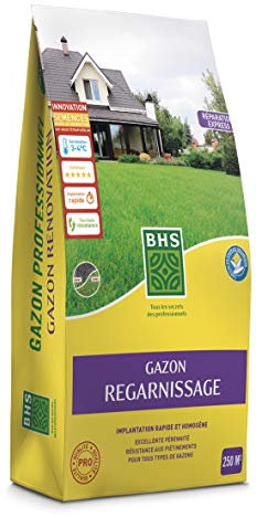 BHS Gazon Regarnissage et Rénovation - 5kg - Soit 250 m² - Semences Enrobées Permettant Une Meilleure Adhérence Au Sol GRE5