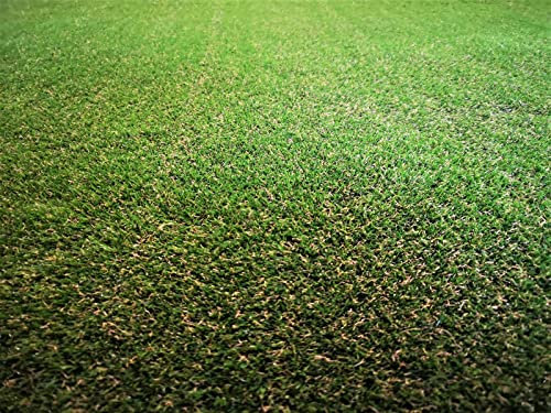 Eco Kunstrasen Rasenteppich 39mm grün Meterware, verschiedene Größen, 2m 3m 4m 5m,wasserdurchlässig, extreme UV-Beständigkeit 100% recycelbar, 9 Jahre Herstellergarantie (200 x 300 cm)