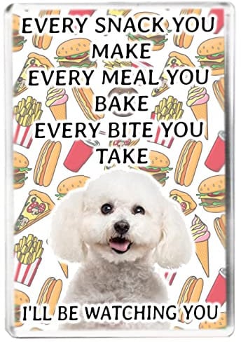Every Snack You Make - Bichon Frise - Funny Pet Owner Quote - Dog Mum/Dad - Fridge Magnet - Novelty Gift