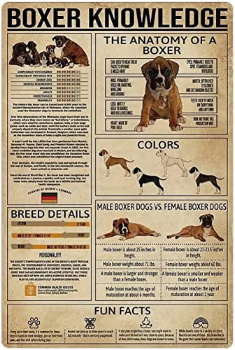 FJQWKLF Metallblechschilder „Boxer Knowledge, Boxer-Infografiken, Retro-Poster, Hunde-Enzyklopädie, Leitfaden, Wanddekoration, für Büro, Klassenzimmer, Zuhause, 20,3 x 30,5 cm