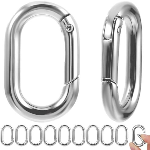 10 Stück Carabiner 1 Zoll Kleine Karabinerhaken Silber Karabiner Klein Geeignet für Auto Brieftasche Schlüsselanhänger, Camping-Zubehör