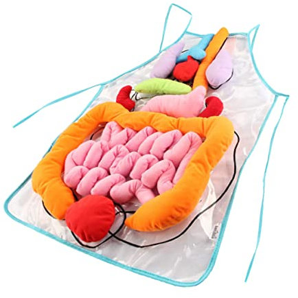 JOINPAYA 1 Set Menschliche Schürze Schablonen Schürze Für Babys Spielzeug Lernspielzeug Spielset Bewusstsein Lernspielzeug Anatomie Poster Kinder Lernschürze Polyester