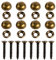 8Pcs Brass Decorative Screws with Caps, Self Tapping Screw Mirror Screws with Decorative Caps Screw Covers for Furniture Fixing, Painting Fixing, Mirror Fixing