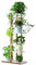 Somerway 6-Tier Pflanzenständer Blumenregal, Blumenständer metall Blumenbank Mehrstöckig Blumenständer Pflanzenregal, Ecke Blumentreppe Pflanzentreppen für Innen Garten Balkon Deko (Weiß)