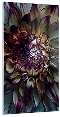 Bilder auf Glas Blätter Agave Blume Glasbild 45x80cm Wandbilder Dekoration Wohnzimmer Schlafzimmer Küche Deko Klein Wanddeko Bild im Glas Wand Kunstdruck Art Modern Wall Decor Glasdruck GPA45x80-5122