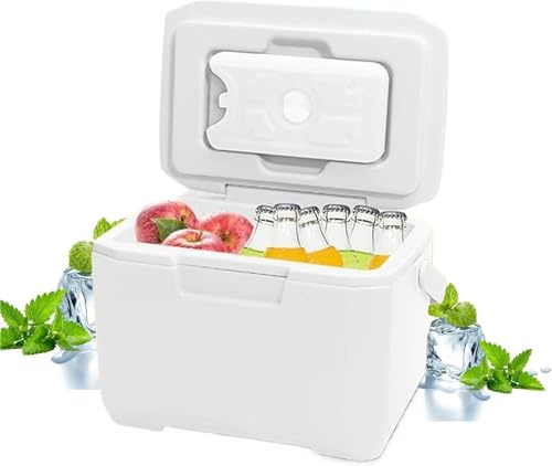 RYRYR Nevera portátil pequeña de 6 l con asa y 5 paquetes de hielo for camping y viajes.