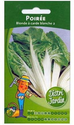graines de poiree a carde blanche
