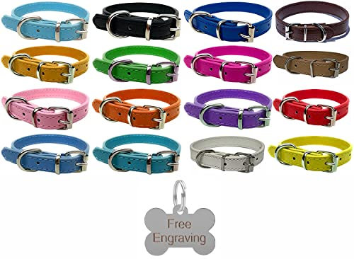Vibrant Leather Dog Collar for Puppy, Dogs Small, Medium & Large with Personalised Engraved Silver Bone Shaped Tag (Small (27cm - 33cm Neck), Purple)