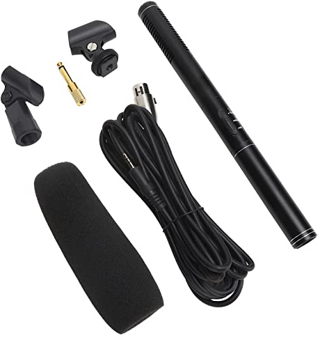 Eacam Mini Micro Portable Professionnel avec Conception D'interface XLR, Amplification du Bruit Environnant, adapté aux Réunions, Interviews à Grande échelle, Célébrations en Plein Air, (Black 28cm)