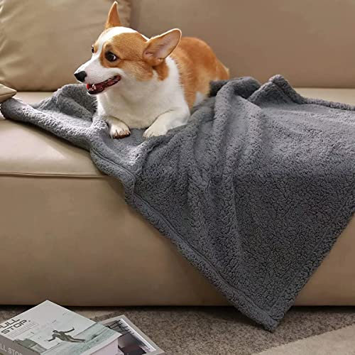 WEASHUME 100% wasserdichte Hundedecke Hund Couch Abdeckung Haustier Decke Pee Proof Weich Hund Katze Bett Möbelbezug für große Hunde und Katzen Sofa Couch Bettbezug Dunkelgrau M 70 x 100 cm