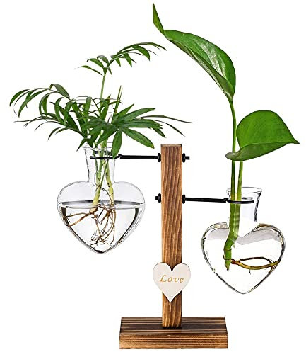 Vases Hydroponique, Vases Hydroponiques Verre Créatifs, Vase Suspendu Support Bois, Vases Ampoule Verre Vase, pour la Culture de Plantes Hydroponiques et la Décoration La Maison