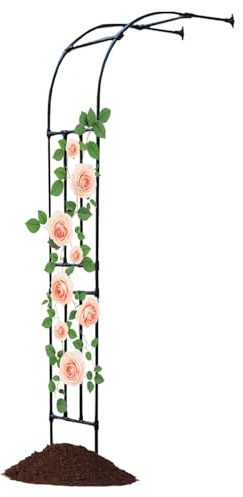 Générique Arche De Jardin Demi-latérale, Arceau À Rosiers en Métal pour Les Plantes Grimpantes, Arche De Tonnelle De Extérieur, Pergola Moitié Contre Le Mur, 230cm De Haut(Noir,W120 x H240cm)