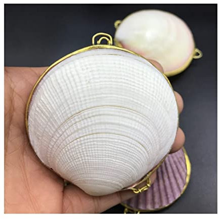 KESHUI Natürliche Muschel Schmuckschatulle Dosen Conch Crafts Keine Kette Ohrstecker Schmuck Ring Ohrringe Armband Halskette Aufbewahrung