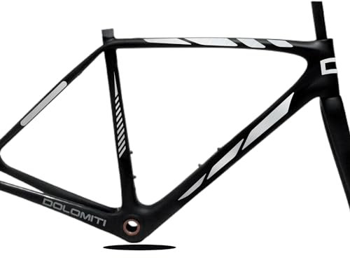 DualColorStampe Set mit 10 Aufklebern für Fahrradrahmen und Fahrrad, Rahmen-Aufkleber, MTB, universeller Schutz, Code B0170 (Silber 90)