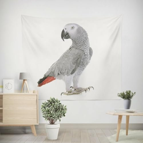 EHOMERY Wandbehang Yoga Wandschmuck Küche Papagei Wandbehang Gross Wandtuch Orient Wohnzimmer Schlafzimmer Wandbehang Dekoration 100x70cm