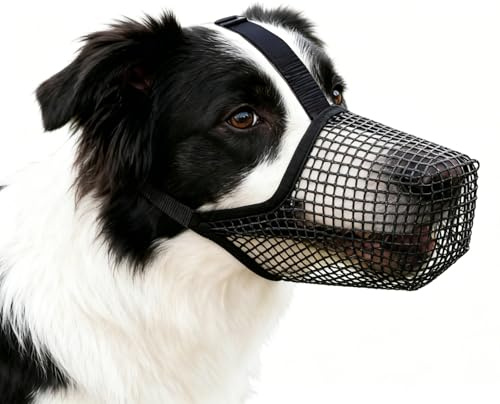 SuperAuriga Maulkorb für Hunde, bissfest, atmungsaktives Netzgewebe (S) | SuperAuriga Maulkorb für Hunde, atmungsaktives Netzgewebe, verstellbar, für kleine bis mittelgroße Hunde (5–25 kg)