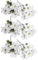 YIJOY Artificial Poinsettia Bushes, 4 Pack 7 Heads Silk Fabric Christmas White Poinsettia Bouquet Fake Poinsettias for Xmas, 35cm/13.8in