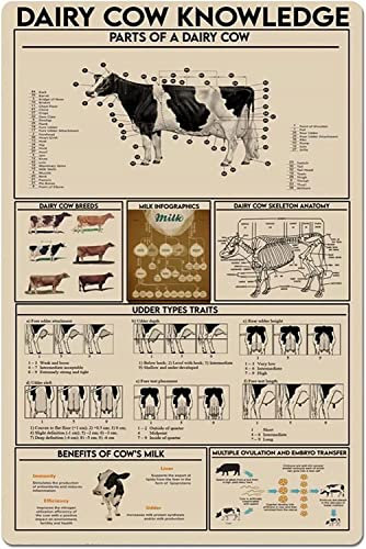 fifbird Carteles de metal con diseño de vaca lechera, estilo vintage, anatomía de vacas lácteas, carteles infográficos, granja, decoración de pared para el hogar, 8 x 12 pulgadas