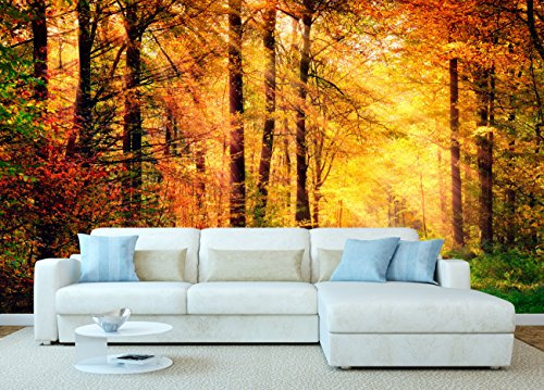 Fotomural Vinilo Bosque Otoño | Fotomurales | Fotomural pared | Fotomural Decorativo | Vinilo Decorativo | 100x70cm | Para la decoración de comedores, salones |