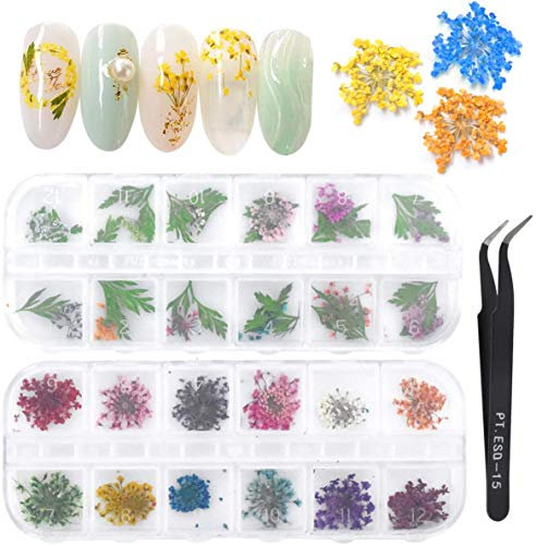Pinsheng 2 Schachteln Nagel Getrocknete Blume, Getrocknete Blume Nail Art, 24 Farben 3D Winzige echte natürliche getrocknete Blumen Grüne Blätter Set für Nail Art Design Dekor mit gebogener Pinzette