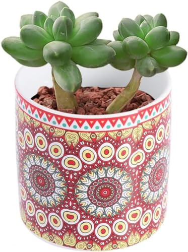 ZGSSOPTU 4 macetas de cerámica para bonsái, macetas de jardín, mini macetas de cactus para plantas suculentas, macetas de cerámica, macetas para suculentas, macetas de mandala, florero, bonita maceta