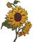 Sunflower Embroidered Iron/Sew On Patch Dress Jeans Flower Embroidery Badge