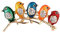 Li-ly Broche Multicolore Oiseaux Alliage Cristal Bijoux Cadeaux