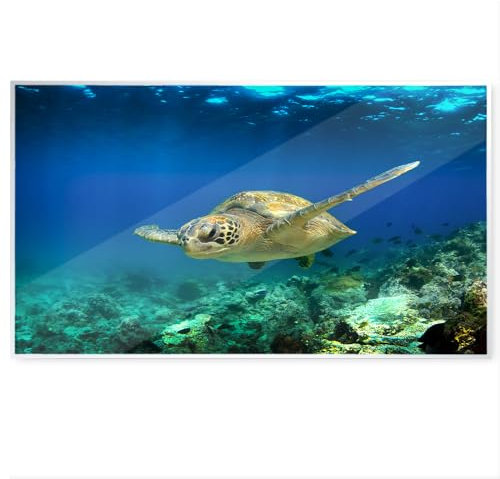 WANDURLAUB - Dein Bild auf Acryl - Komfort Edition XXL - 50x38 cm Acrylglas - Brillanter Druck hochwertiger weißer Aluminum Rahmen inkl. Wandhalterung - Ultra HD Druck (13. Schildkröte unterwasser)