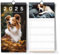 Kalender 2025 Familienplaner mit 5 Spalten als Wandkalender [Hunde] I 22 x 43 cm I Familienplaner Wand I Monatskalender Okt 2024- Dez 2025, Hundekalender, Stundenplänen uvm