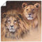 ARTLAND Wanddeko Poster & Kunstdrucke Wandposter 50 x 50 cm Tiere Wildtiere Raubkatze Malerei Braun Löwen Porträts A1HA