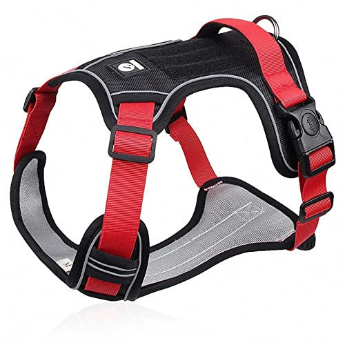 No Pull Hundegeschirr, Brustgeschirr Für Kleine, Mittlere Hunde, Reflektierend Weich Gepolstert Hunde Geschirr, Mit Einfache Kontrolle Griff Und Rückseite Perfekt,Rot,S