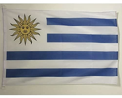 AZ FLAG Bandera Nautica de Uruguay 45x30 cm - Pabellón de Conveniencia Uruguaya 30 x 45 Cm, Bandera de Barco con anillas