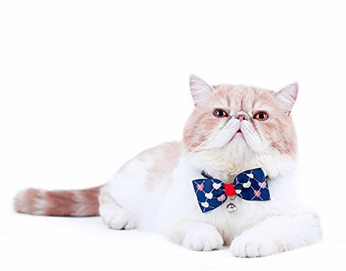 Boodtag Hunde Fliege Kragen mit Schleife Schelle Krawatte Haustier Halskette Schal Handtuch Haustier Katze Verstellbare Bowtie