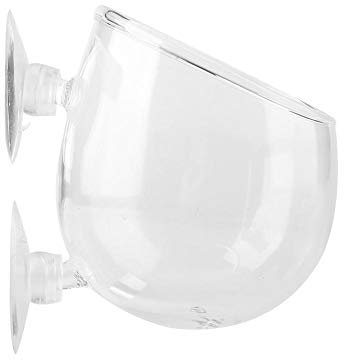 FTVOGUE Plant Glass Cup Pot, Aquarium Décor Ornaments Landscape Plants Cultivation Cup with 2 Suckers