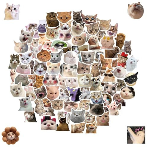 100 Stück Lustiges Katzen Aufkleber Set, süße Katzen Aufkleber wasserfeste Vinyl Aufkleber ästhetische Aufkleber für Katzenliebhaber Wasserflaschen Sammelalbum Telefon (Katzenform)