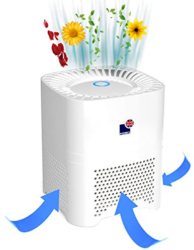 Morris 4 in 1 Air Purifier with Medical Grade Hepa H13 Filter, Removes Virus
