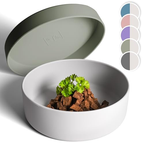 ne&no® Gamelle en silicone pour chien 1200 ml avec couvercle pour chiens de petite et moyenne taille | Fermeture hermétique au réfrigérateur | Gamelle antidérapante | Ensemble de gamelles pour chien