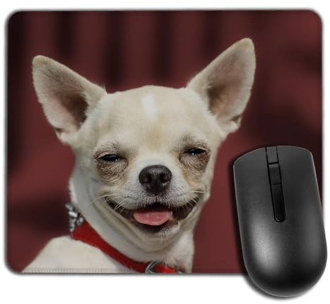 Yeuss Funny Dog Memes Tapis De Souris Rectangulaire Antidérapant Tapis De Souris, Chien Chihuahua Tête Portrait Cheveux Courts Fond Rouge Tapis De Souris Gaming, Beige Rouge Foncé, 200 mm X 240 mm