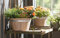Dekoleidenschaft 2 Pflanzkübel aus Holz mit Metallring, Blumentopf, Pflanzcontainer, Blumentöpfe, Pflanzschale, Pflanztopf, Holzfass, Pflanzgefäß, Garten-Deko für Draußen