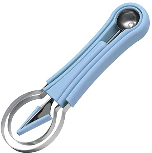 WANGCL Cortador de sandía de acero inoxidable 4 en 1, juego de herramientas para tallar frutas, cuchara de frutas, removedor de semillas, sandía, melón, juego de cucharas (azul)
