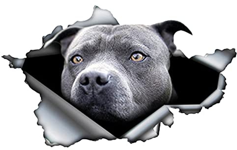 Uposao Adesivo 3D per auto, 2 pezzi, riflettente, autoadesivo, cofano motore, impermeabile, fai da te, decorazione per auto, decorazione per auto, cane