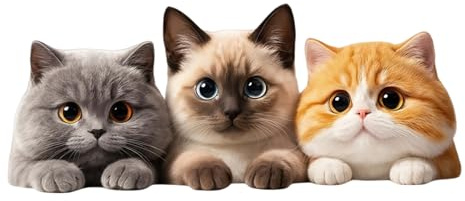 Katzen Autoaufkleber - 5,5 Zoll wasserdichte Vinyl-Aufkleber, langlebige glänzende Stoßstangen-Aufkleber für Autos, Motorräder, Laptops, Koffer, Kühlschränke, Wände und Türen, 2 Stück, dekorative