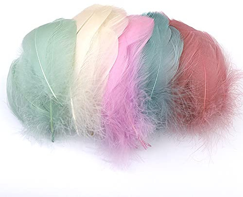 100 Stück Bunte Feder zum Basteln Naturfedern Gänsefedern Indianer Bastelfedern für DIY Kunstwerk Masken Hüte Ohrringe Haarschmucken Traumfänger Hochzeit Karneval Party Dekoration,7-12cm Mischfarbe C