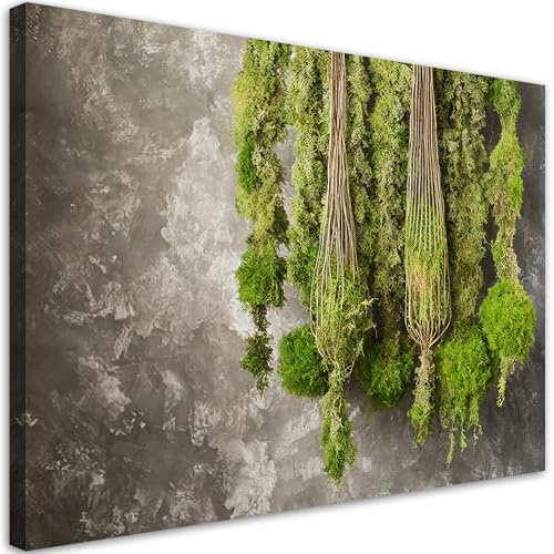 Feeby Leinwand Bilder - Moospflanze Natur - Canvas 100x70 cm - Deko Wohnzimmer - Wandbilder Schlafzimmer - Deko Aesthetic - Wand Deko - Leinwand Groß - Deko Zimmer - Leinwandbilder XXL