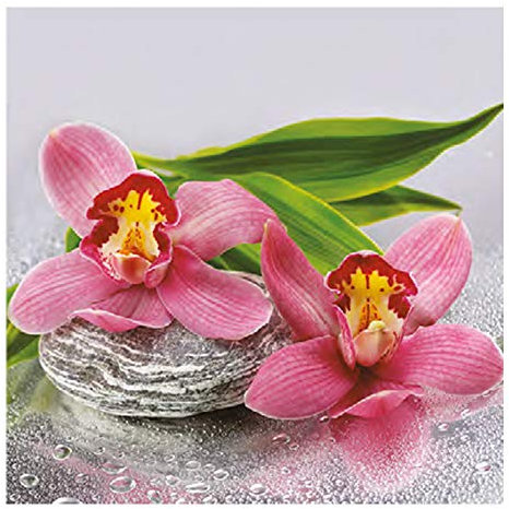 Auswahl Motiv - 20 Servietten / Napkins - ca. 33 x 33 cm 3-lagig - Orchideen auf Stein - Tisch-Deko Basteln Serviettentechnik