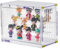 Acryl Vitrine Schaukasten, Transparente Vitrine für Figuren, Staubdichter Schaukasten, Plexiglas Vitrine, Sammelvitrine mit Tür für Minifiguren, Modellautos, Sammelobjekte (Transparent, 1 Pack)
