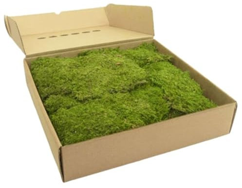 Muschio piatto stabilizzato sfuso verde 100% naturale - Adatto per decorazioni quadri, presepi, pareti, decori, arredamento interno. Confezioni da 150gr - 250gr -500gr (150, Grammi)