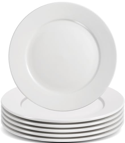 EOGRFW 6 Stück Dessertteller Aus Porzellan, Porzellan Teller, Weiß, 20,3 Cm