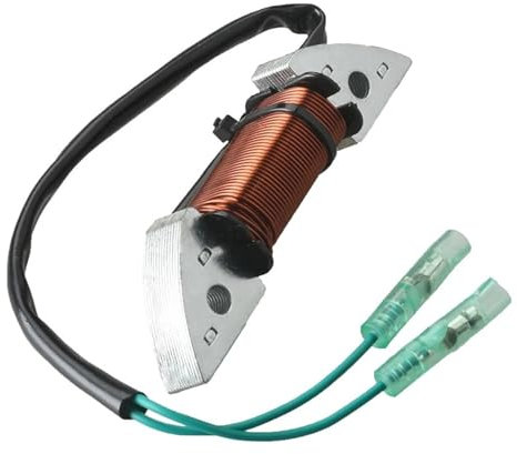 TROIOIUM 3B2-06123 Lichtmaschine for Außenbordmotor 2-Takt 3B2-06123 8 PS 9,8 PS Parsun HDX 3B2-06123-1 3B2061231 M8/9,8B 3B206123