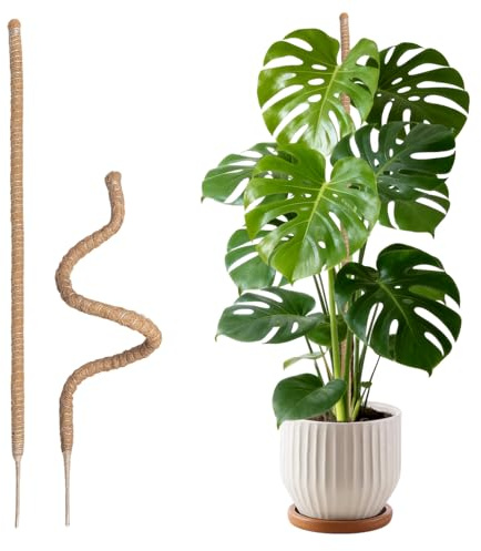 Wigearss 2 Pièces Tuteur Plante Grimpante en Coco sur Piquet 160 cm | Support de Croissance de Plantes Grimpantes, Poteau Pliable en Coco de 7 mm de Largeur pour Jardin et Plantes Monstera